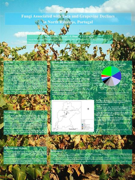 Fungi Associated with Esca and Grapevine Declines in North Ribatejo, Portugal M.R. Mendes (1), J.P. Luz (1), E. Diogo (2) & A. Carvalho (2) (1) Escola.