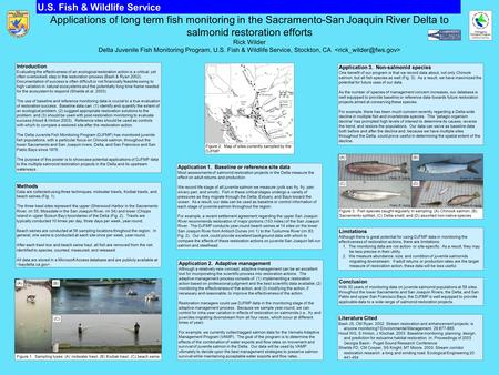 Applications of long term fish monitoring in the Sacramento-San Joaquin River Delta to salmonid restoration efforts Rick Wilder Delta Juvenile Fish Monitoring.