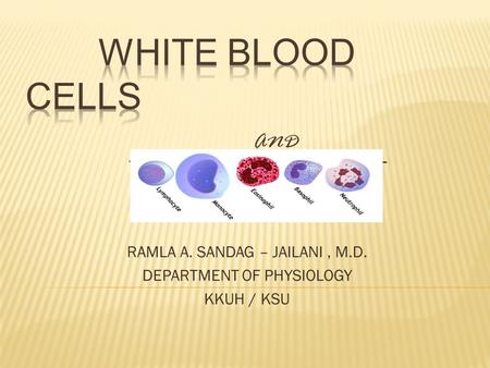 WHITE BLOOD CELLS and the differential count