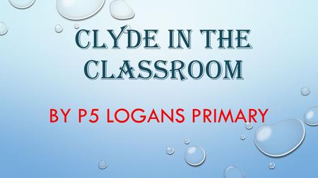 CLYDE IN THE CLASSROOM BY P5 LOGANS PRIMARY GETTING OUR EGGS!! TEMPERATURE. US CHEKING THE TEMPERATURE WITH DAVY. TROUT EGGS YAY!! THIS IS THEM IN THE.