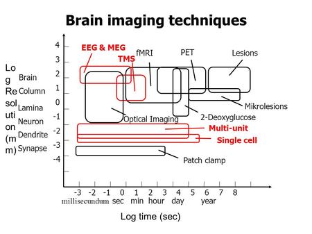 Brain imaging techniques PET Mikrolesions Single cell Lesions 2-Deoxyglucose Multi-unit Patch clamp EEG & MEG TMS fMRI Optical Imaging millisecundum sec.