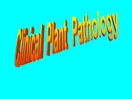 พัลลภา กฤษณี ไพบูลย์ chlorosis and stunting.