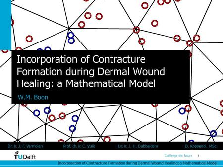 Incorporation of Contracture Formation during Dermal Wound Healing: a Mathematical Model 1 Challenge the future Incorporation of Contracture Formation.