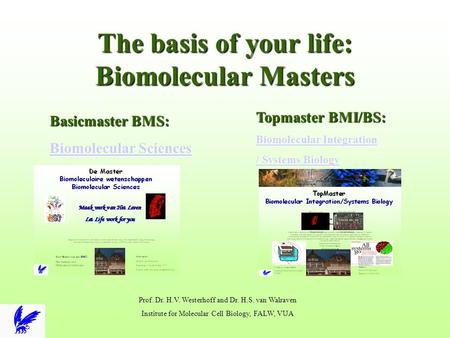 The basis of your life: Biomolecular Masters Basicmaster BMS: Biomolecular Sciences Biomolecular Sciences Topmaster BMI/BS: Biomolecular Integration Biomolecular.