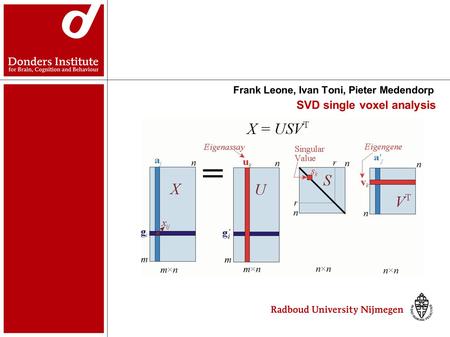 SVD single voxel analysis Frank Leone, Ivan Toni, Pieter Medendorp.