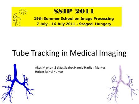 Tube Tracking in Medical Imaging Ákos Marton,Balázs Szabó, Hamid Hadjar, Markus Holzer Rahul Kumar.