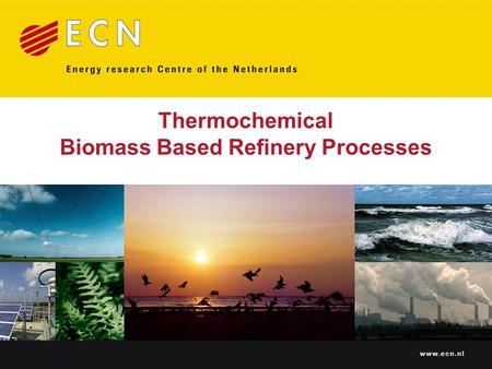 Thermochemical Biomass Based Refinery Processes. Technological status & perspectives Presented at Biorefinica 2006 (11-12 October 2006, Osnabrück, Germany)