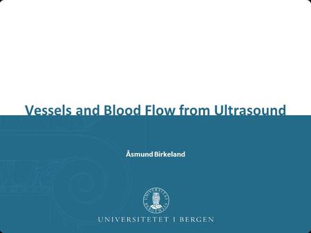 Åsmund Birkeland Vessels and Blood Flow from Ultrasound.