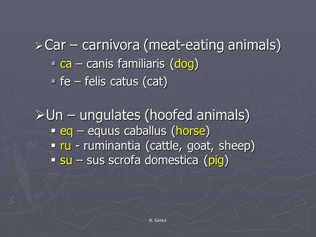 Car – carnivora (meat-eating animals)