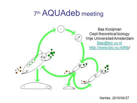 Bas Kooijman Dept theoretical biology Vrije Universiteit Amsterdam  7 th AQUAdeb meeting.