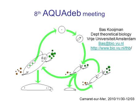 Bas Kooijman Dept theoretical biology Vrije Universiteit Amsterdam  8 th AQUAdeb meeting.