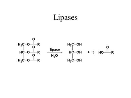 Lipases.