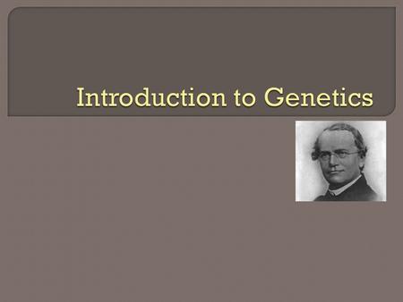 Introduction to Genetics