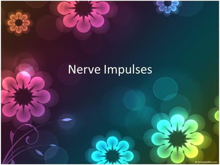 Nerve Impulses.