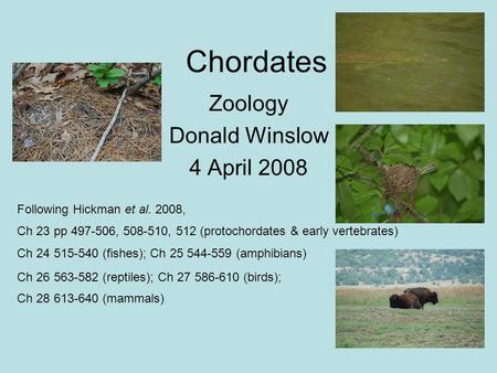 Chordates Zoology Donald Winslow 4 April 2008 Following Hickman et al. 2008, Ch 23 pp 497-506, 508-510, 512 (protochordates & early vertebrates)‏ Ch 24.