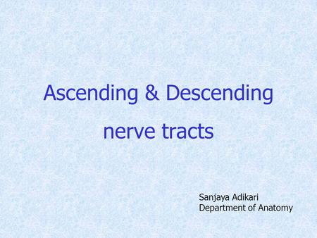 Ascending & Descending nerve tracts