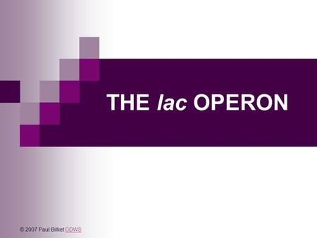 THE lac OPERON © 2007 Paul Billiet ODWS.