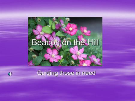 Beacon on the Hill Guiding those in need. At the Beacon on the Hill We House.. West Haven’s only Diaper Bank.West Haven’s only Diaper Bank. A Food Pantry.