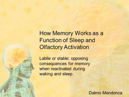 How Memory Works as a Function of Sleep and Olfactory Activation Labile or stable: opposing consequences for memory when reactivated during waking and.