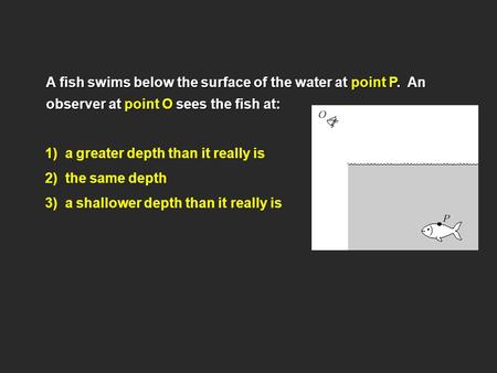 A fish swims below the surface of the water at point P