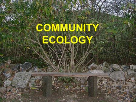 COMMUNITY ECOLOGY.