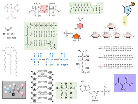 Identifying molecules – picking defining characteristics In this lab activity you will be classifying all the structures on the structure sheet into their.