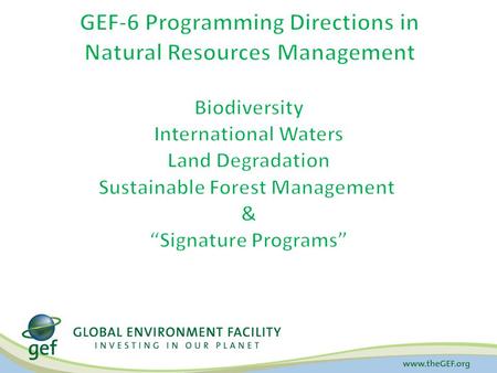 Biodiversity Land Degradation Climate Change Chemicals International Waters Sustainable Forest Management Sustainable Cities Food Security Fisheries Forests.