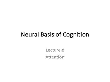 Neural Basis of Cognition