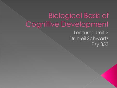 Biological functions of the brain are important to touch on, because talking about cognition and cognitive functions is relatively unexciting without.