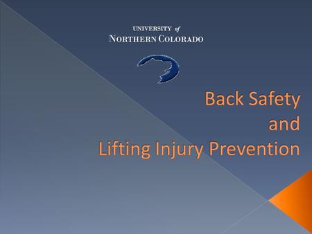 Back Safety and Lifting Injury Prevention