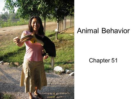 Animal Behavior Chapter 51.