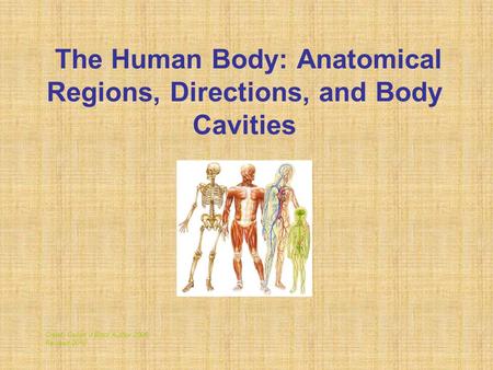 The Human Body: Anatomical Regions, Directions, and Body Cavities