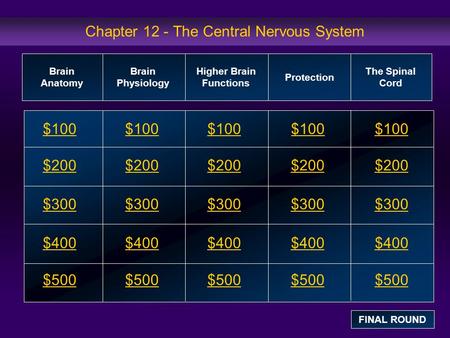 Chapter 12 - The Central Nervous System