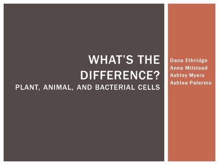 What’s the difference? Plant, animal, and bacterial cells