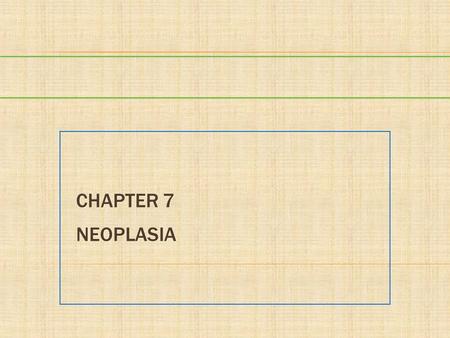 Chapter 7 Neoplasia.