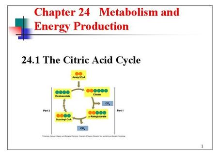 Citric Acid Cycle. Pyruvic Acid to Acetyl CoA Citric Acid Cycle.