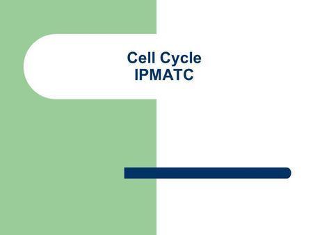 Cell Cycle IPMATC.