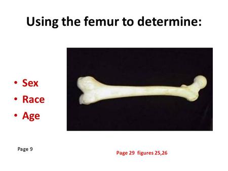 Using the femur to determine: