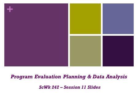 Program Evaluation Planning & Data Analysis