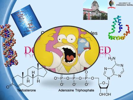 Organic Macromolecules