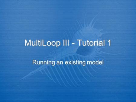 MultiLoop III - Tutorial 1 Running an existing model.