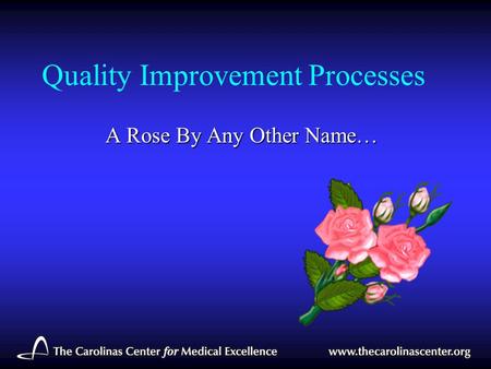 Quality Improvement Processes