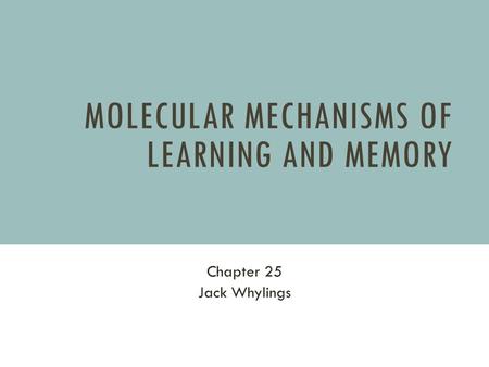 Molecular Mechanisms of Learning and Memory