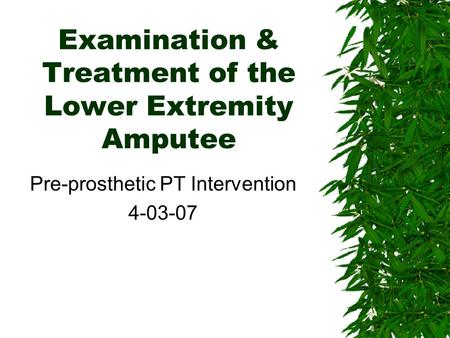 Examination & Treatment of the Lower Extremity Amputee