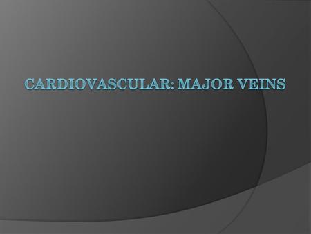 Cardiovascular: Major Veins