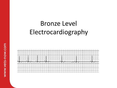 Bronze Level Electrocardiography