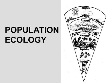 POPULATION ECOLOGY.