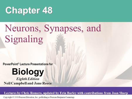 Neurons, Synapses, and Signaling