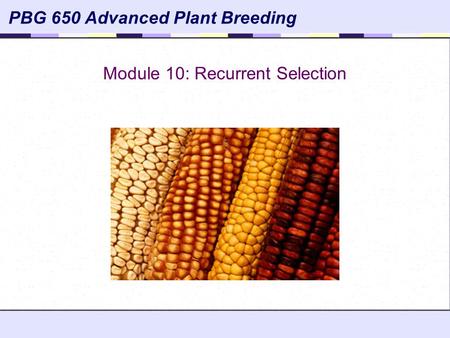 Module 10: Recurrent Selection