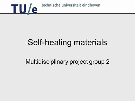 Self-healing materials Multidisciplinary project group 2.